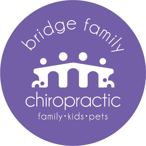Bridge Family Chiropractic