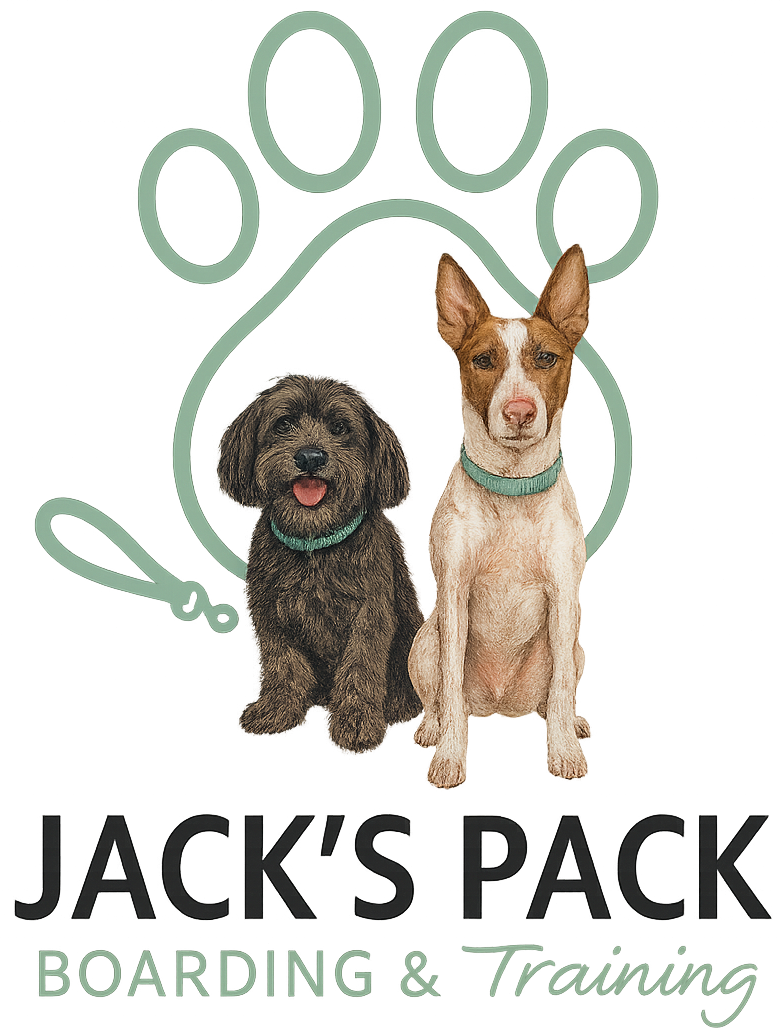 Jack's Pack Logo Design